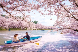 Airbnb เผยเทรนด์การเดินทางและประสบการณ์ปี 2019