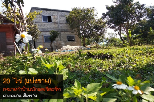 ที่ดิน 20 ไร่ (แบ่งขาย) เชียงราย ด้านหลังติดแม่น้ำและเชิงเขา เหมาะทำบ้านพักตากอากาศหรือรีสอร์ท ***ระงับการขายชั่วคราว***