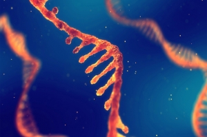 XJTLU ประสบความสำเร็จ ทำแผนที่ดัดแปลง RNA