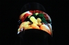 Sharp มุ่งพัฒนาจอภาพงอได้ OLED พร้อมผลิตจำนวนมากในปีนี้