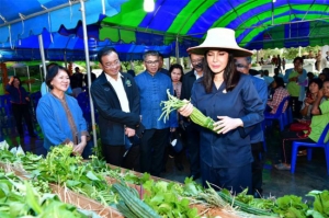 ปั้นอุทัยธานีโมเดล ส่งเสริมปลูกผักปลอดภัย
